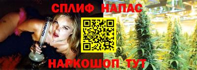 молекула духа Будённовск
