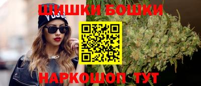 молекула духа Будённовск